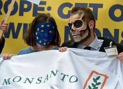 Monsanto đối diện hàng ngàn đơn kiện thuốc diệt cỏ