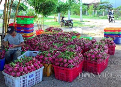 Người Trung Quốc ăn khỏe nhưng không phải bán thứ gì sang cũng được