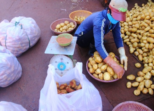 Nông sản Trung Quốc "đội lốt" hàng Đà Lạt: Bức xúc và bế tắc