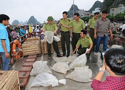 Nuôi dưỡng, bảo tồn động vật hoang dã: Khó trăm bề...