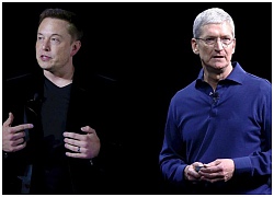 Chỉ trong năm nay, Apple đã &#8220;thó&#8221; ít nhất 46 kĩ sư từ công ty xe điện của Elon Musk