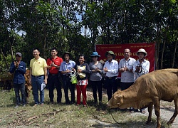 Đại hội Hội ND Kiên Giang: Phát huy vai trò nòng cốt của giai cấp ND