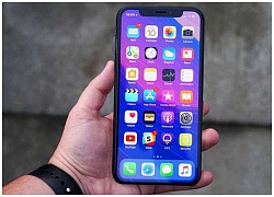 iPhone LCD 6.1 inch sẽ là chiếc iPhone "tối quan trọng" với Apple tính tới thời điểm hiện tại?