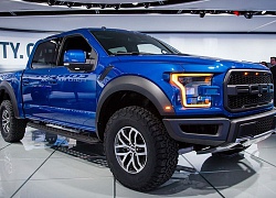 "Mê" Ford F 150 Raptor, khách phải chọn đường không chính hãng