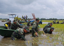 Nguy cơ lũ lớn tại Đồng bằng sông Cửu Long