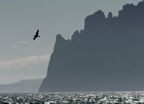 Phát hiện chất lạ ở Crimea, dân hoang mang