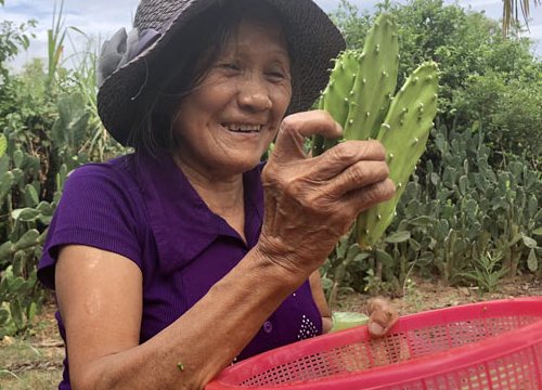 Quảng Ngãi: Chỉ 5.000 đồng là ăn được đặc sản "lưỡi rồng" như có gai