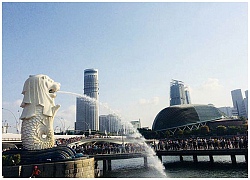 Tới Singapore nhất định phải ghé thăm công viên sư tử biển Merlion Park