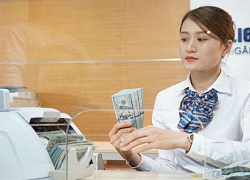 Tỷ giá ngày 29.8: USD chợ đen chưa "kìm" đà giảm, ngân hàng diễn biến trái chiều