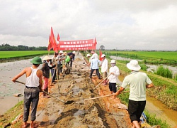 10 năm đón "gió" tam nông và những miền quê đáng sống