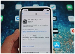 Apple phát hành iOS 12 Beta 12: Sửa lỗi thông báo cập nhật gây khó chịu trên bản Beta 11