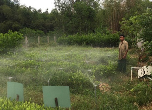 Bình Định Bắc: Nâng cao tiêu chí "cứng", giữ vững tiêu chí "mềm"