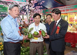 Đến Sơn La, mùa nào cũng có của ngon vật lạ