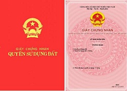 Hà Nội: Giành lại quyền sử dụng đất sau 3 năm ròng đâm đơn đi kiện