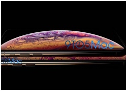 Hình ảnh render về bộ ba iPhone mới một lần nữa xác nhận thế hệ iPhone 2018 chỉ là "bình cũ rượu mới"