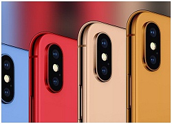 Khảo sát: Gần 50% người dùng iPhone và 20% người dùng Android muốn nâng cấp lên iPhone mới