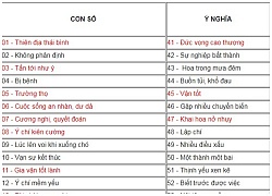 Mẹo nhìn biển số xe để biết vận mệnh sang hèn - sướng khổ chuẩn xác nhất