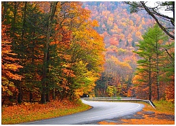 New England, nơi ngắm lá vàng rơi mùa Thu tuyệt vời nhất