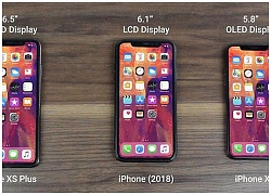 Ảnh dựng bộ ba iPhone 2018 cho thấy thế hệ iPhone XS chỉ là "bình cũ rượu mới"