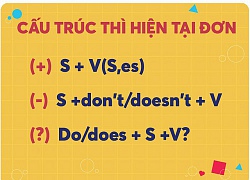 Học tiếng Anh: 10 phút nắm chắc cấu trúc, cách dùng thì hiện tại đơn