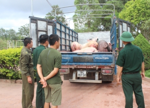 Kiểm soát chặt chẽ tình trạng buôn lậu gia súc, gia cầm qua biên giới