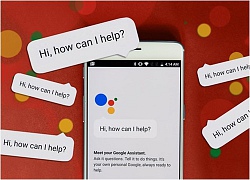 Loa thông minh AI của Google có thể hiểu, nói chuyện song ngữ cùng lúc