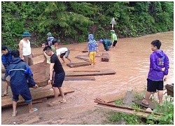 Lũ rút, người dân Nghệ An vớt được cây gỗ samu dầu có giá hàng trăm triệu đồng