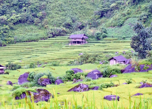 Mê mẩn vẻ đẹp nao lòng ruộng bậc thang Dần Thàng