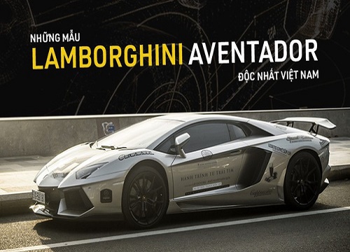 Những mẫu Lamborghini Aventador độc nhất Việt Nam