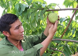 Sơn La: Đại hội đại biểu Hội Nông dân tỉnh diễn ra trong 2 ngày