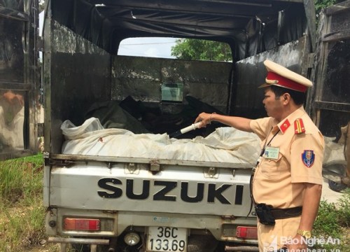 Thu giữ gần 500kg da trâu bốc mùi hôi thối vận chuyển trên xe tải