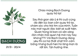 Tử vi tuần mới về tình yêu của 12 cung hoàng đạo (3/9 - 9/9): Bạch Dương nồng nhiệt, Nhân Mã có tin vui