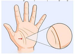 Xem đường chỉ tay biết ngay người trường thọ, phúc dày mệnh lớn ít ai bằng