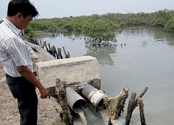 Bà Rịa - Vũng Tàu: Quản lý chặt các nguồn thải có nguy cơ gây ô nhiễm nguồn nước mặt