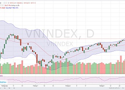 Chỉ số VN-Index tiếp tục xu hướng tăng