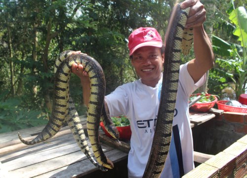 Dân vùng lũ "ăn nên làm ra" nhờ đánh bắt đặc sản "của trời cho"