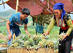 Hiểm họa HIV/AIDS ở huyện nghèo Mường Chà