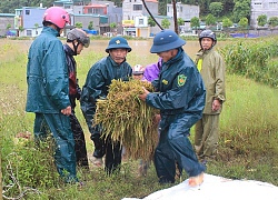 Mưa lớn gây thiệt hại tại một số địa phương