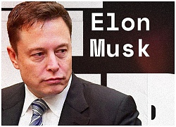 Những bí mật chưa kể tại Tesla dưới sự lãnh đạo của "Giáo phái Elon Musk": quá nhiều điều khác thường