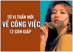 Tử vi tuần mới (1/10 7/10) về công việc của 12 con giáp