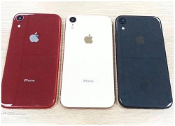 Ảnh rò rỉ tiết lộ iPhone 9 sẽ có 3 phiên bản màu là trắng, xanh biển và đỏ, có cả khay hỗ trợ 2 SIM