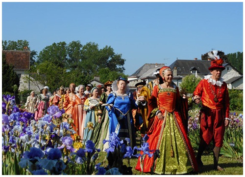 Champigny -sur-Veude - Hoa diên vĩ tinh khôi