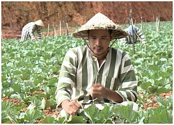 Đoàn Thanh Tài vào vai tù nhân trong 'Trang trại hoa hồng'