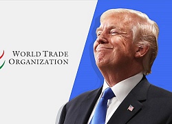 Mỹ rút khỏi WTO: "Vắng cô thì chợ vẫn đông"