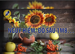 Nguy hiểm, độ sâu 1m8!