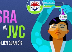 Nhìn SRA, nhớ JVC