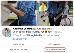 Quảng cáo Pixel 2 chụp đẹp nhưng diễn viên Ấn Độ này lại dùng iPhone để đăng ảnh lên Twitter