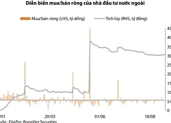 Thị trường đang đón nhiều thông tin bất lợi, VN-Index khó đạt mốc 1.000 điểm