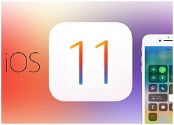 Trước thềm phát hành iOS 12, nhiều người dùng iPhone đổ xô nâng cấp iOS 11