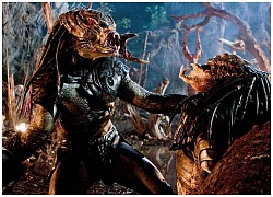 Cẩm nang về &#8216;quái thú vô hình&#8217; Predator